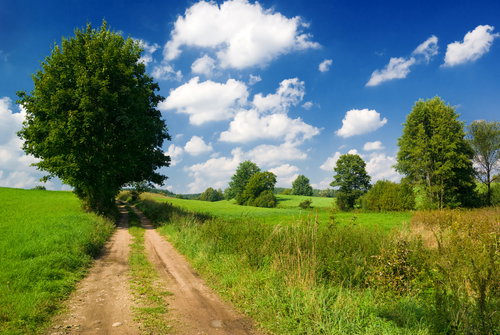 lesne_jezioro