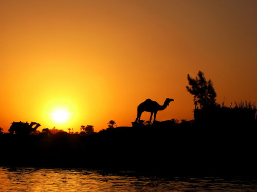 shutterstock_21844693