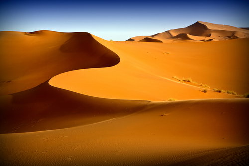 shutterstock_18262771