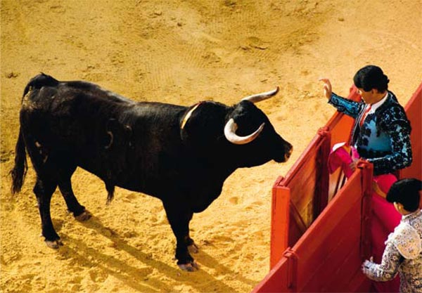P23_NG_0904_CORRIDA2