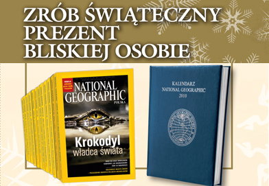 PRAWIDLOWY_NG_kartka_formularz_OKBialyDO-DRUKU-HIRES-1