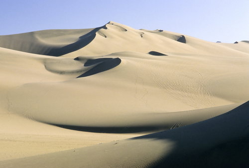 shutterstock_15101728