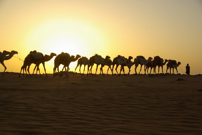 093_Solna_Karawana_Mali_resize