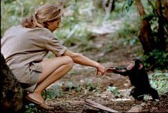 5_01