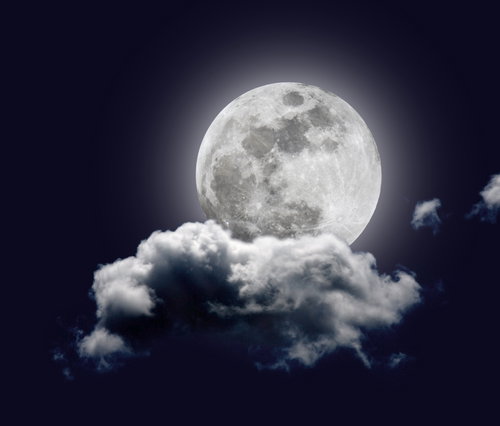 shutterstock_18384205