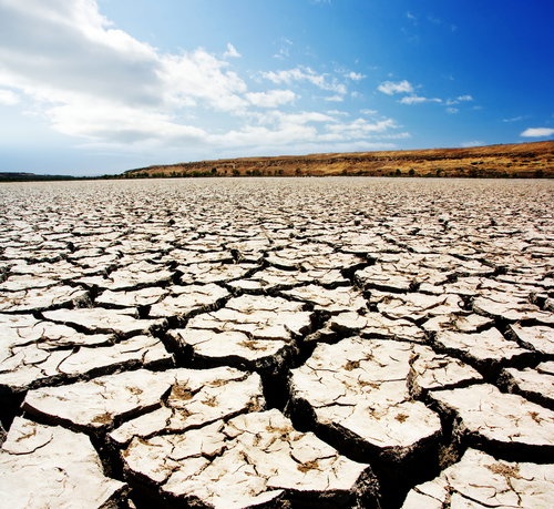 shutterstock_24554086
