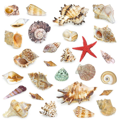 shutterstock_10015738
