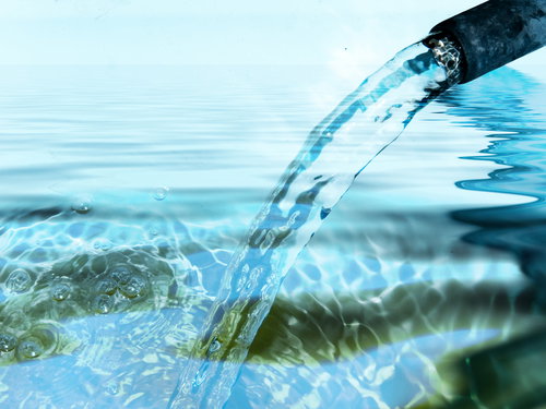 shutterstock_35328826