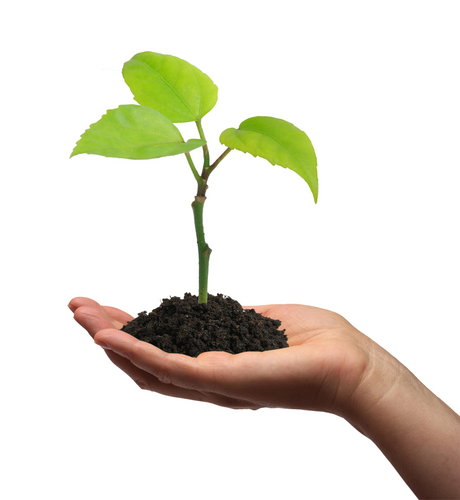 shutterstock_9356170