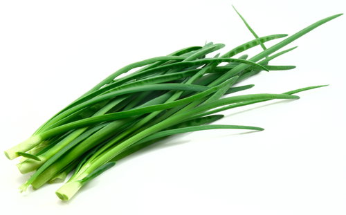 shutterstock_11568778