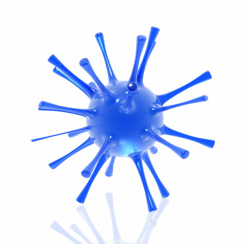 shutterstock_27250921