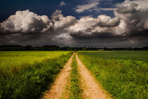 shutterstock_3722203