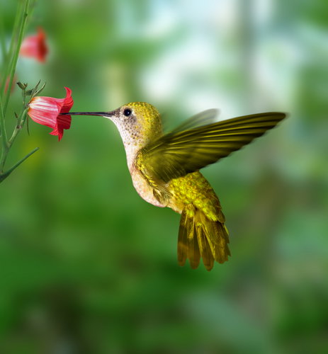 shutterstock_1319832