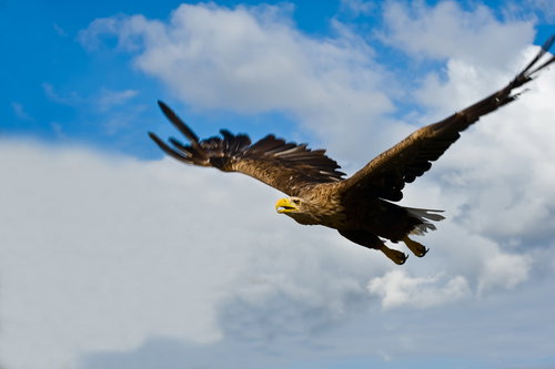 shutterstock_44650474