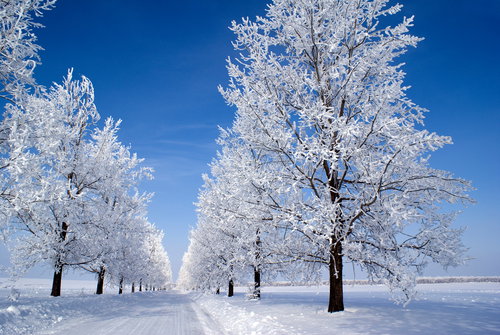 shutterstock_13179508