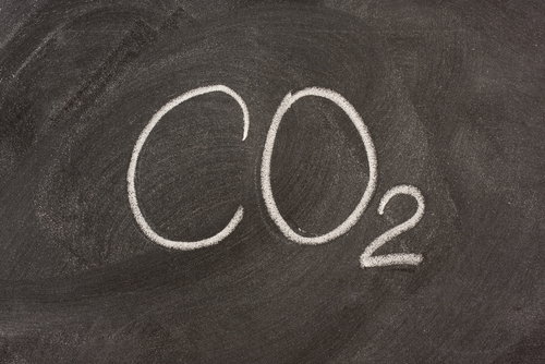 shutterstock_20439952