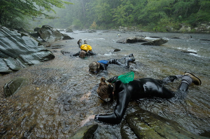 12-abrams-creek