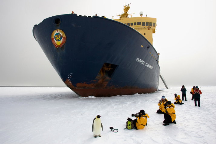 1109-antarctica-714_02