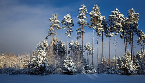 shutterstock_46292557