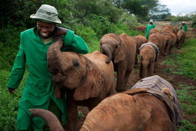18-elephant-bond-caregivers-670