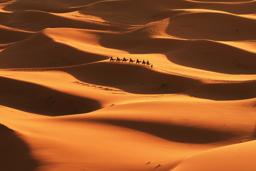 sahara_01