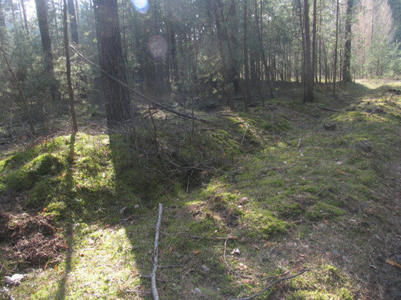 Waly_Slaskie__Lipno__fot._M.Boryna_