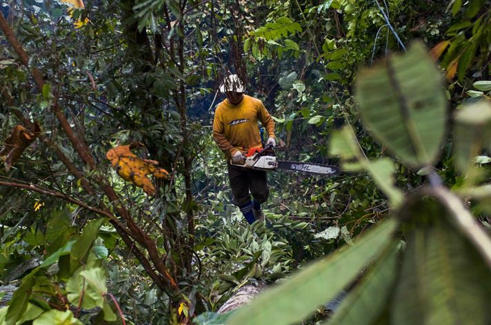 borneo_matias_klum_2