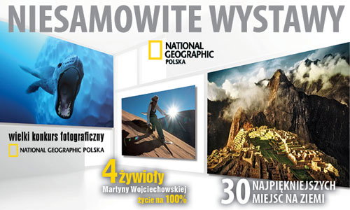 3_WYSTAWY_500x300INT
