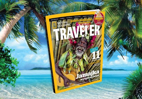 Traveler_box_500x350
