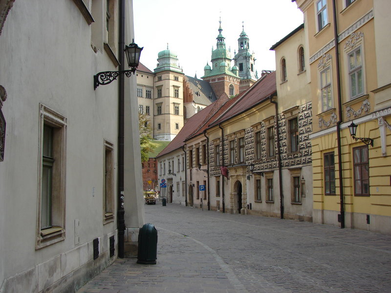 Odwiedź Damę z gronostajem na Wawelu