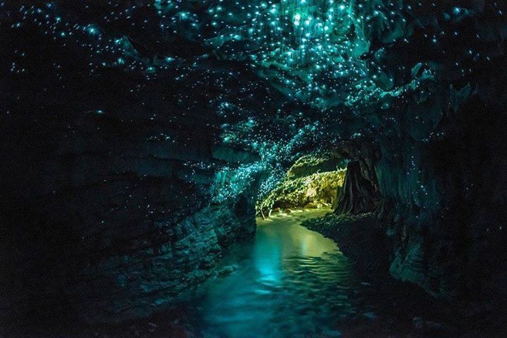 Jaskinia Waitomo
