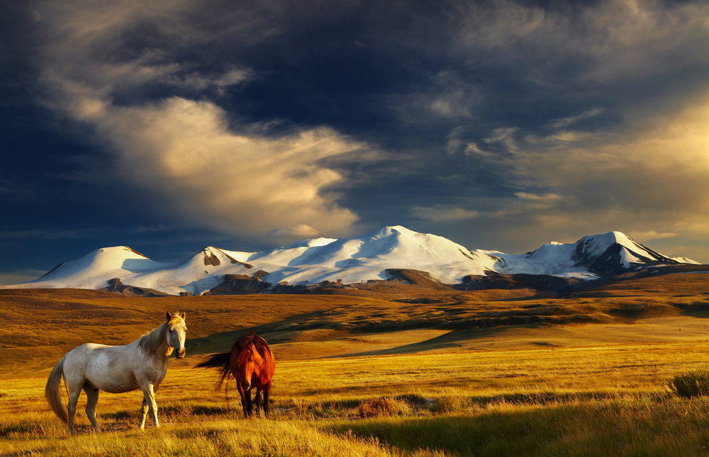 shutterstock_84040771