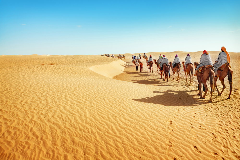 sahara2