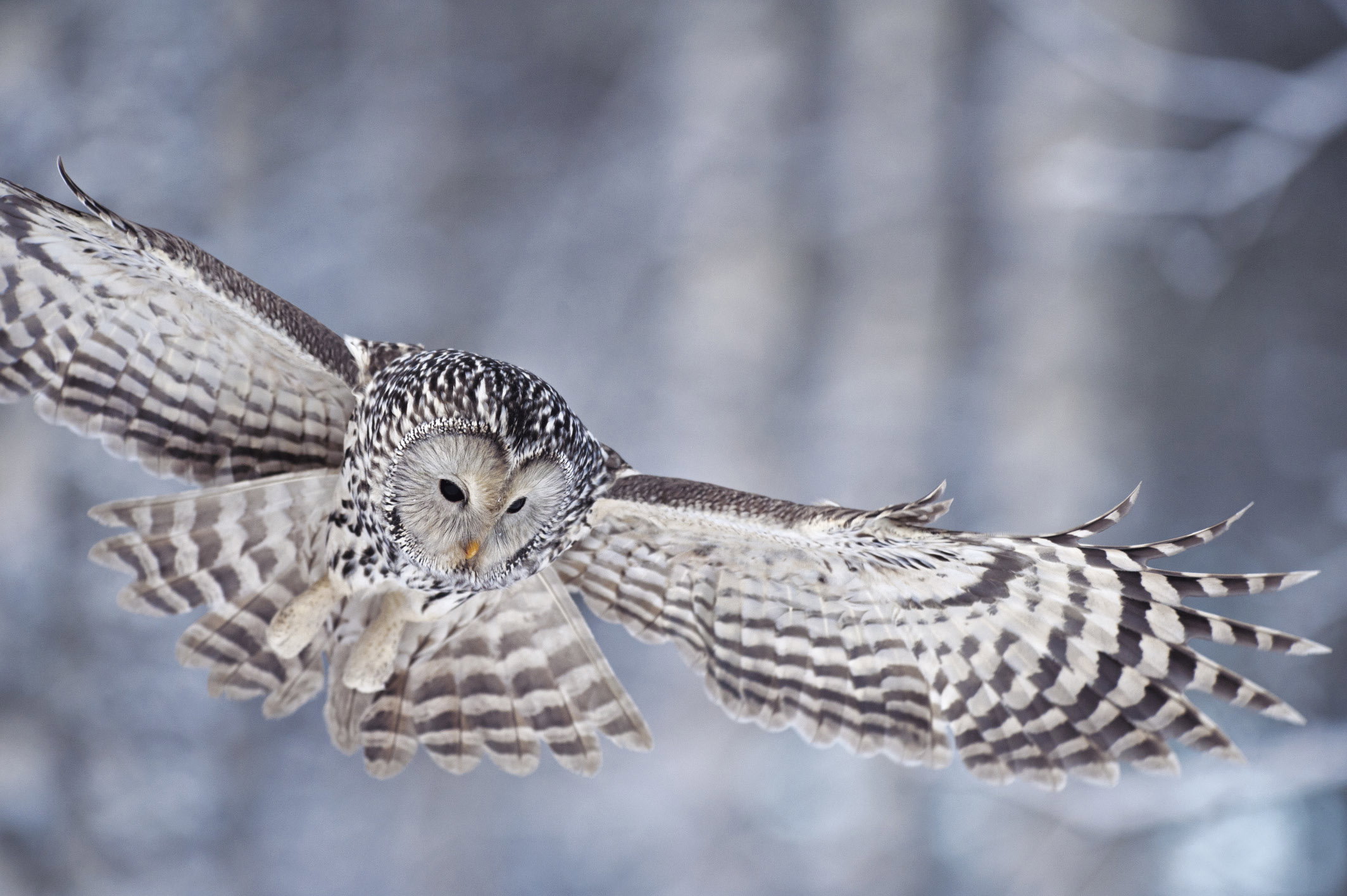 _SZZ4416_070109_opt
