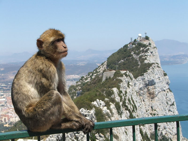 Skała Gibraltaru