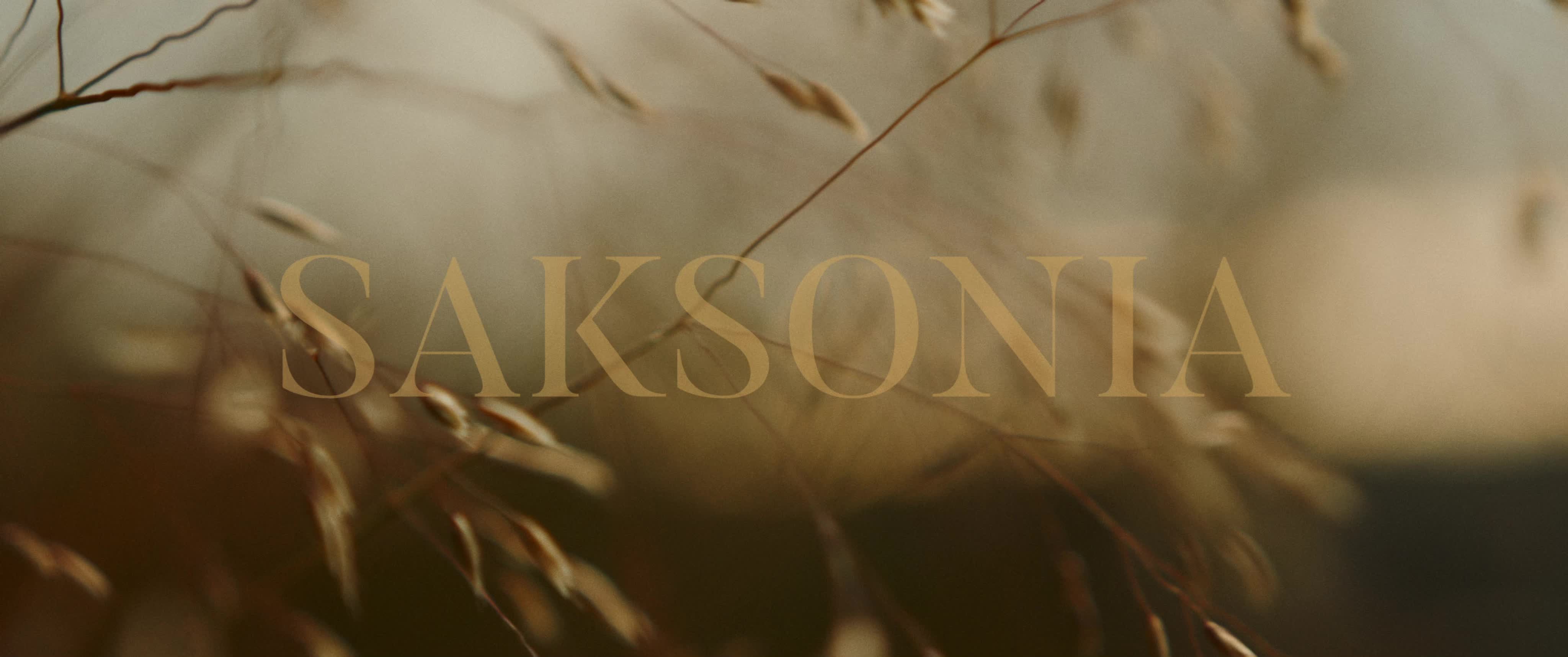 Saksonia