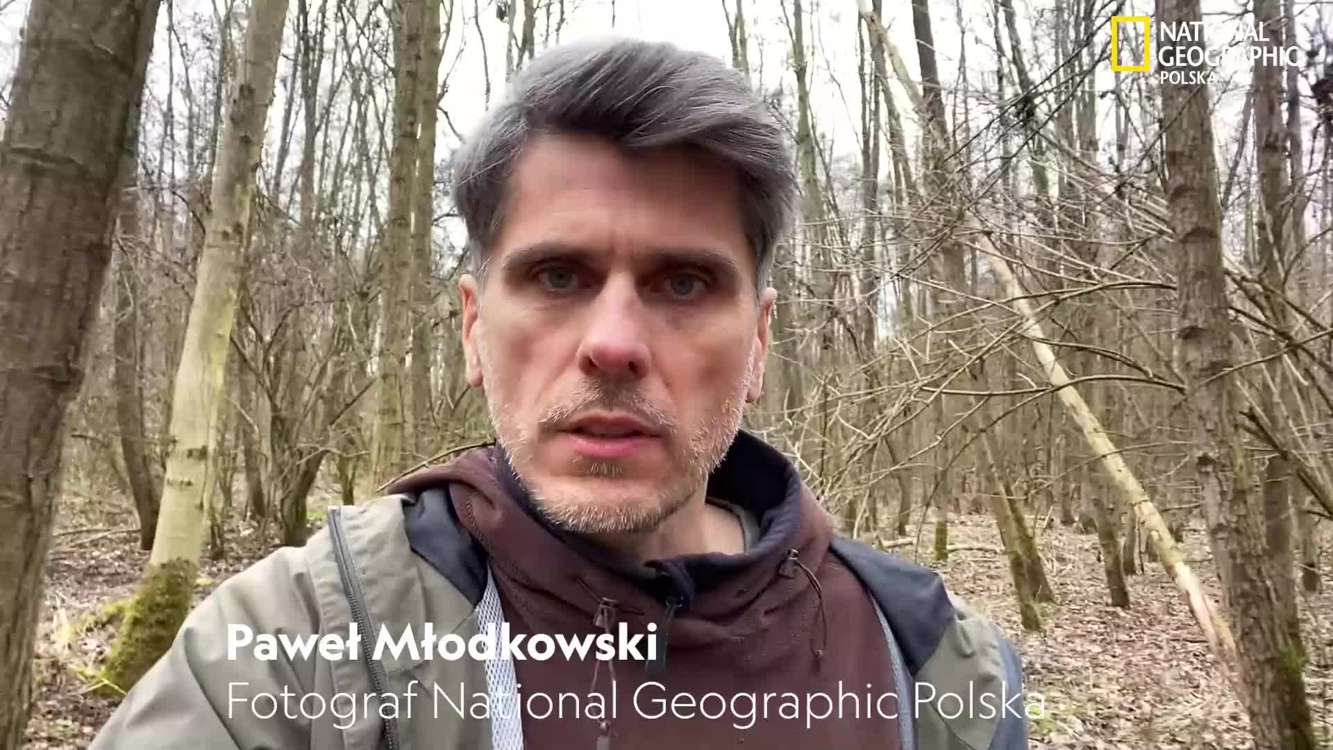 Jedna rada dla fotografów przyrody od Pawła Młodkowskiego [FOTOGRAF MIESIĄCA]