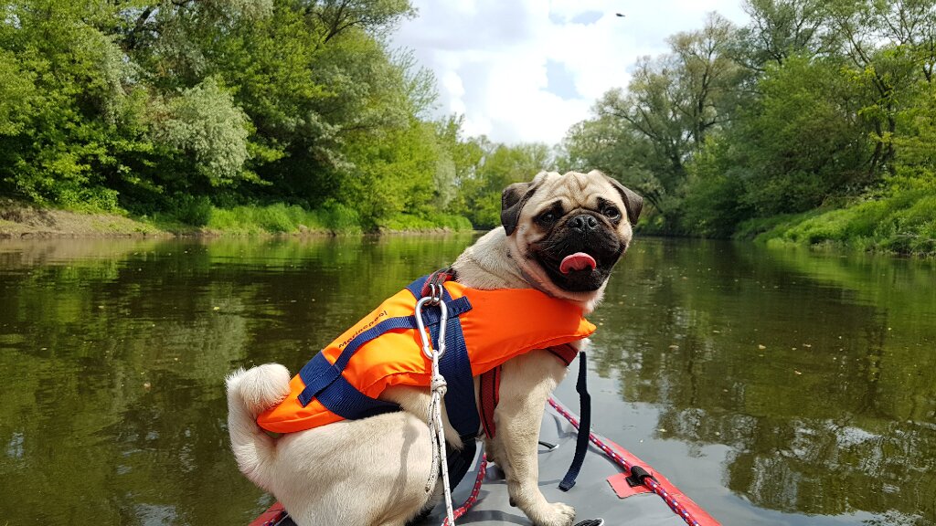 Ona, on, mops i kajak. Dmuchane canoe to ich sposób na podróżowanie