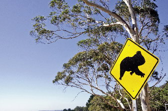 Jacobs_Australia_L1000578_opt