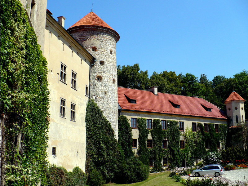 Gniazda na Jurze