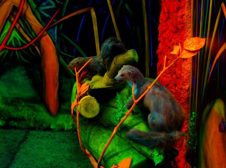 Muzeum 6D – Maszoperia