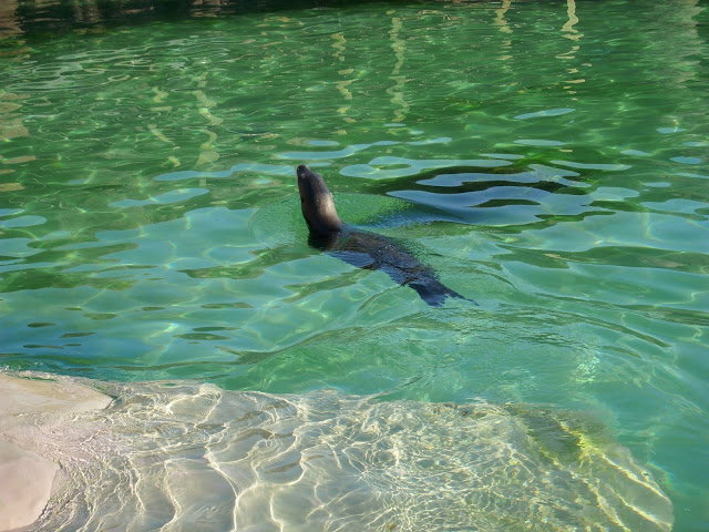 ZOO_Opole__602_