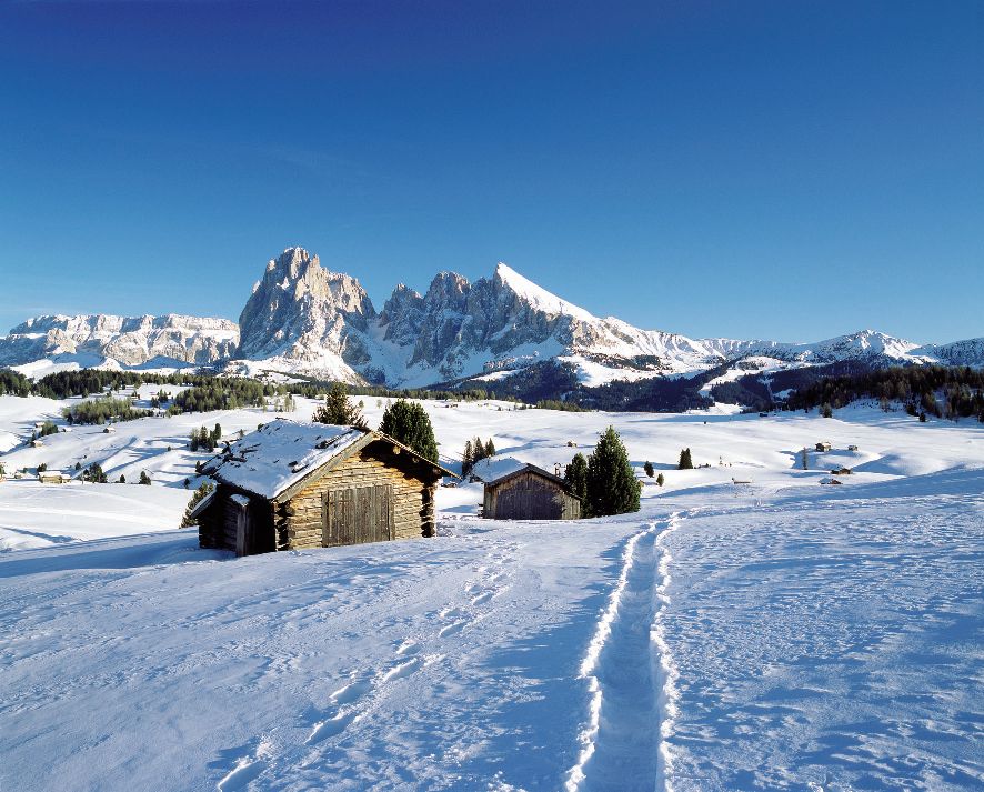 Alpe_di_Siusi_Clemens_Zahn_mini