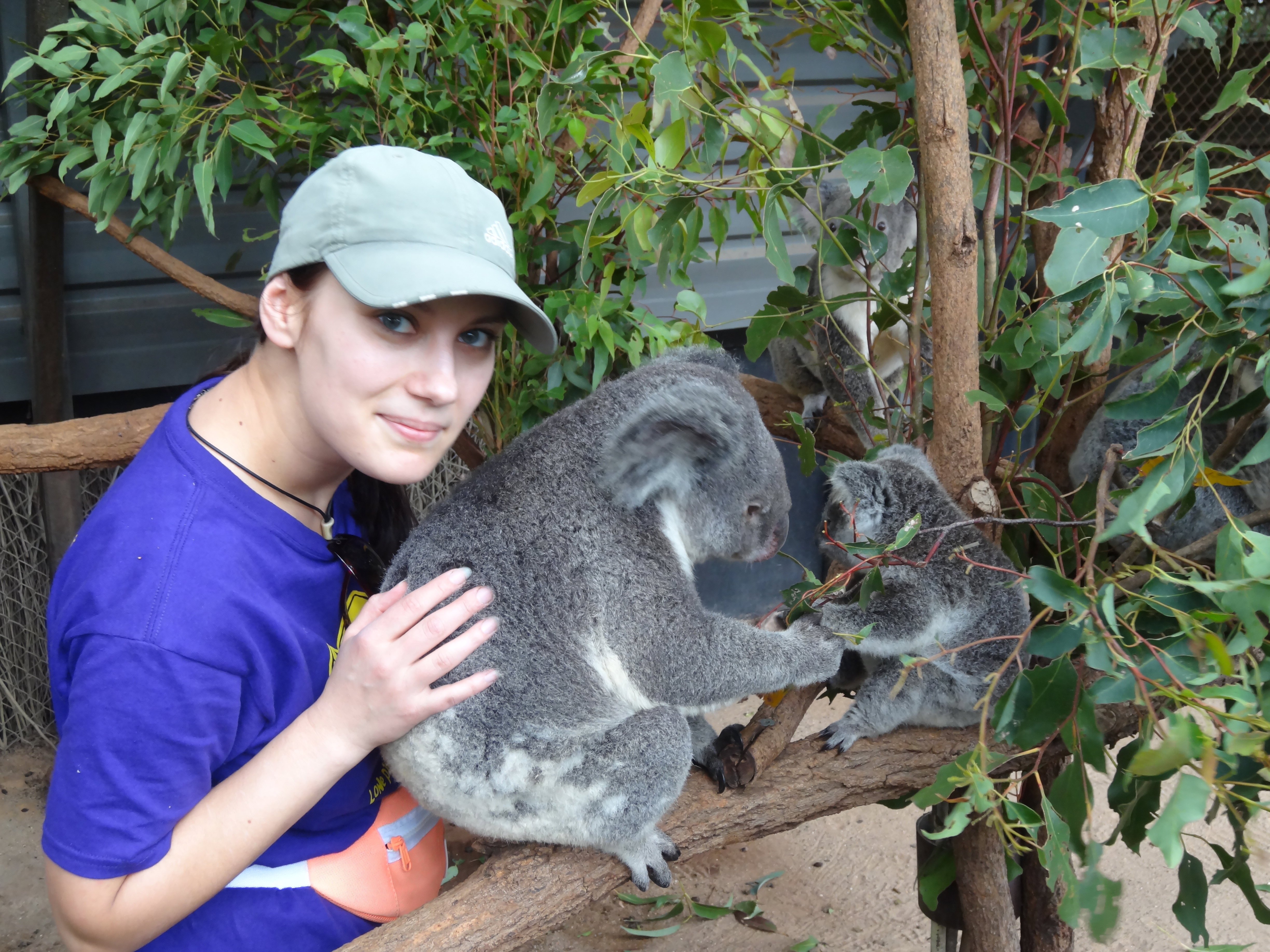Australia_2013_626