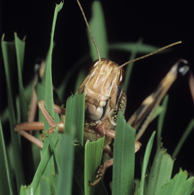 bew_01330558_opt