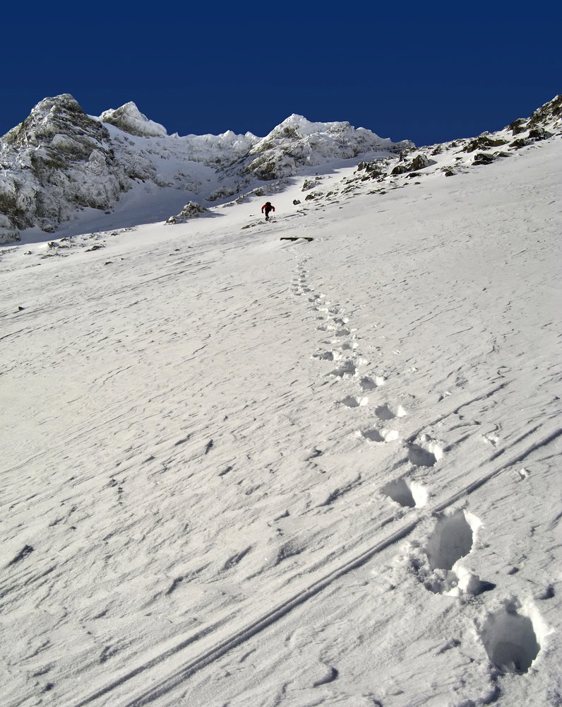 tatry_pion