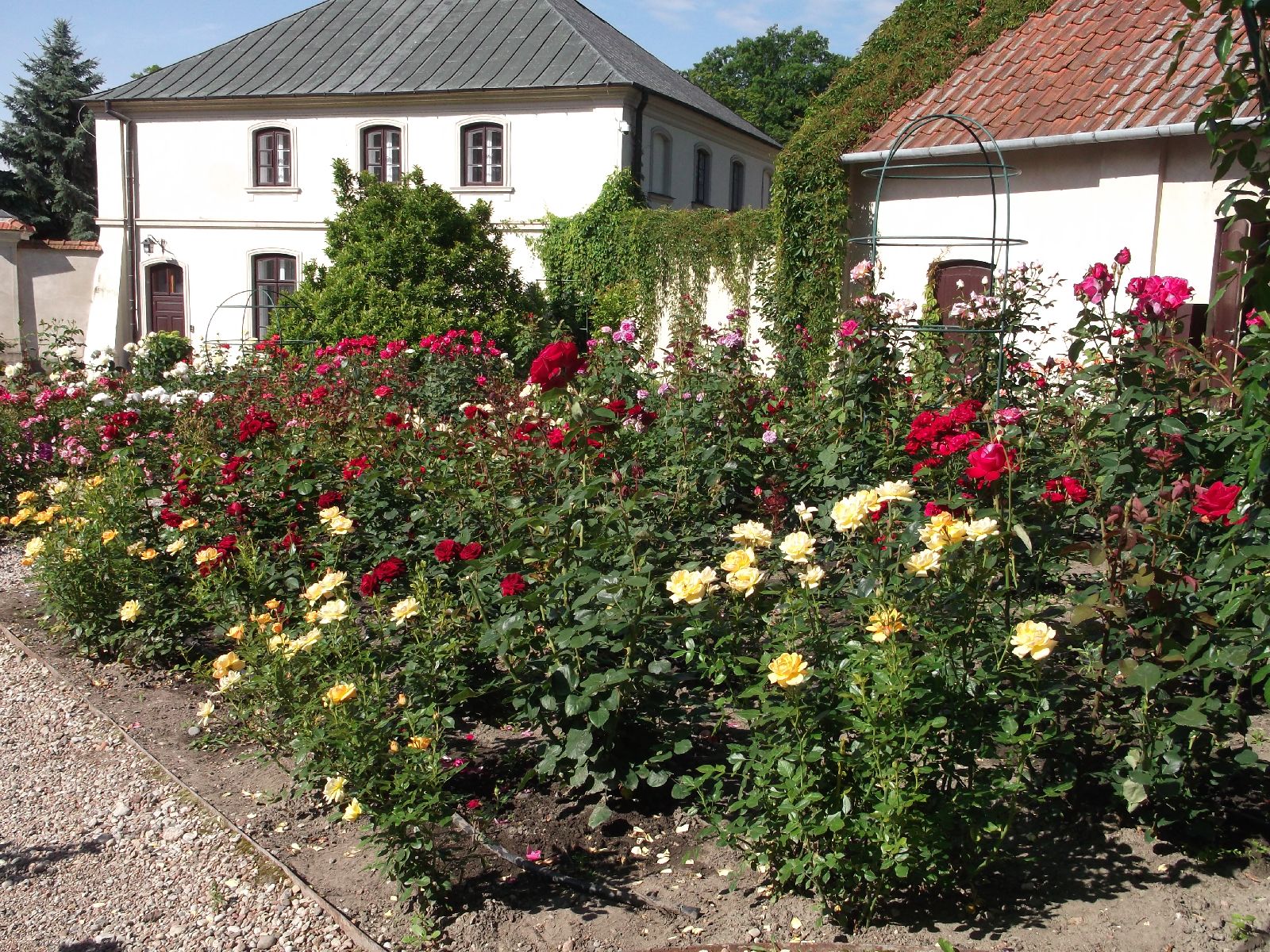 rosarium
