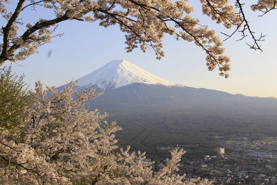 japonia