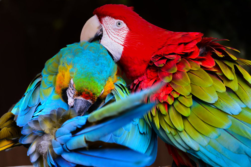 shutterstock_175133369