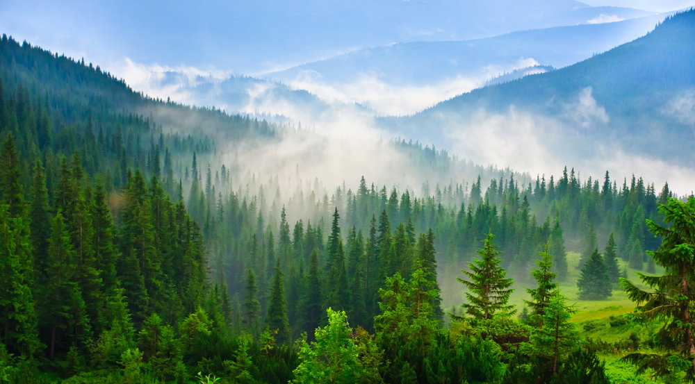 shutterstock_95727697